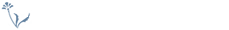 2022年