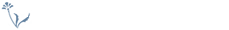 2021年