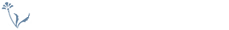 2022年