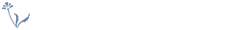 2023年